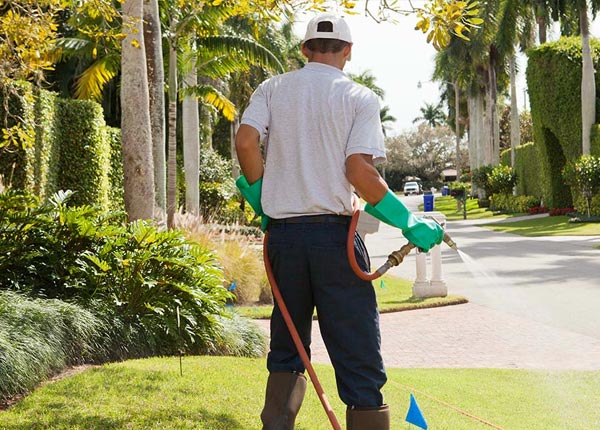 About Las Animas CO Pest Control